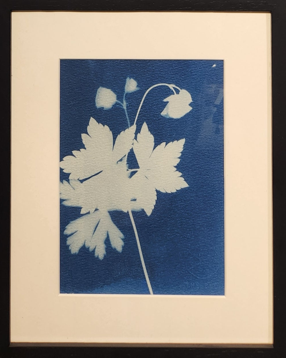 Little Flower (Original)