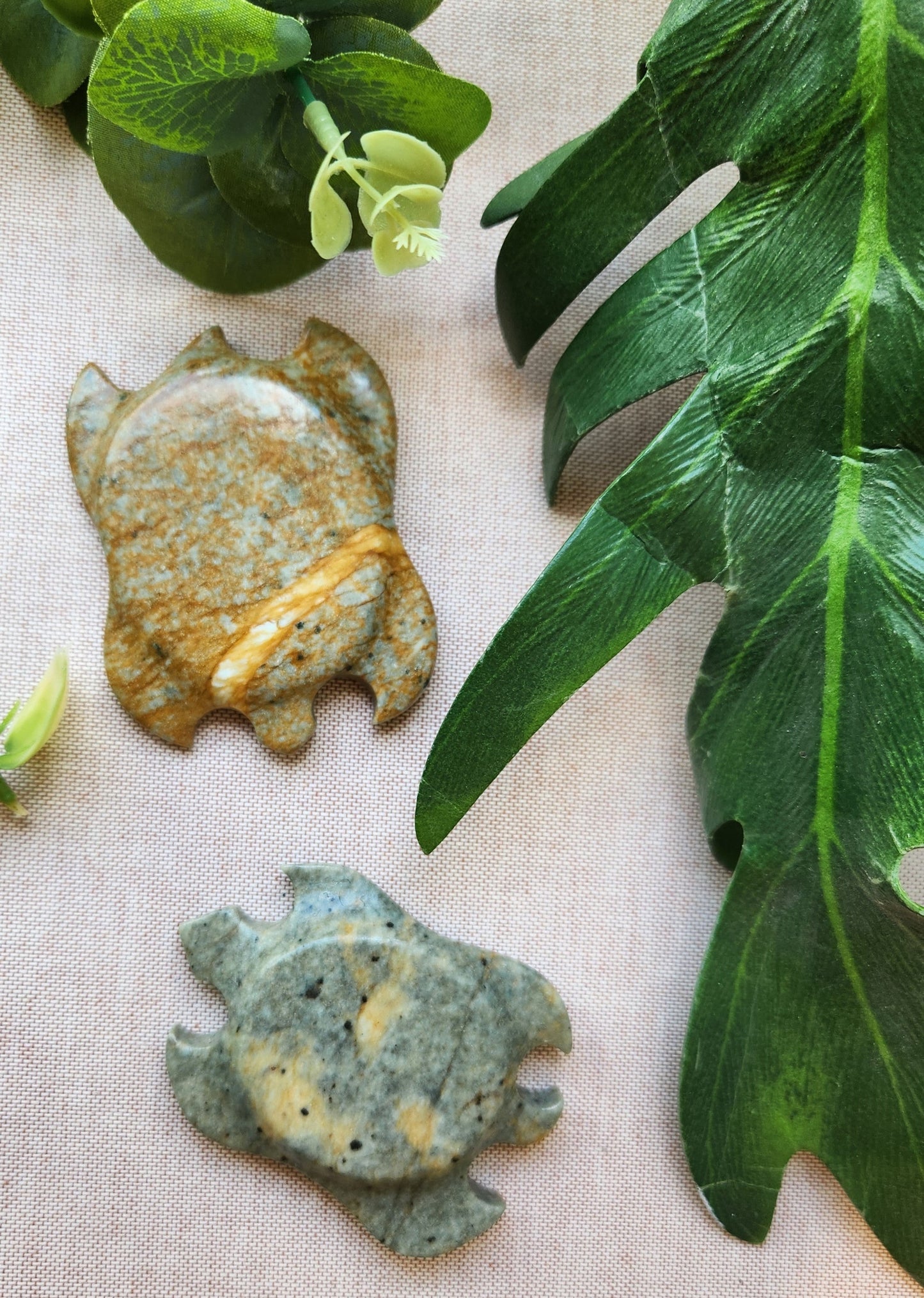 Small Turtle by Teyo Hill