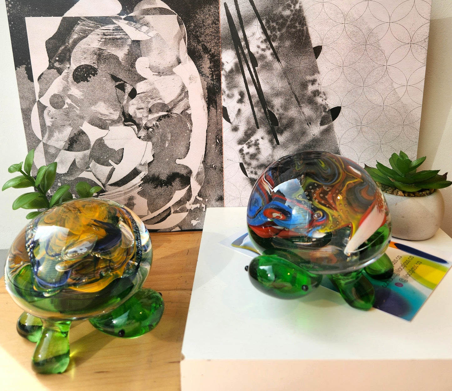 Glass Turtle