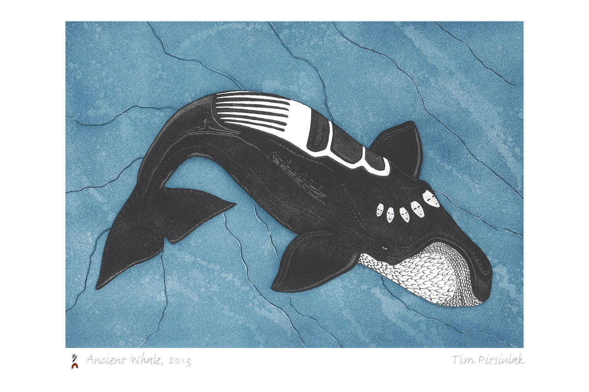 Ancient Whale 2013 Card