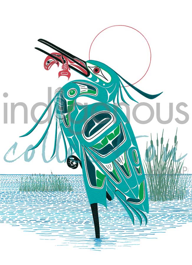 Green Heron Art Card