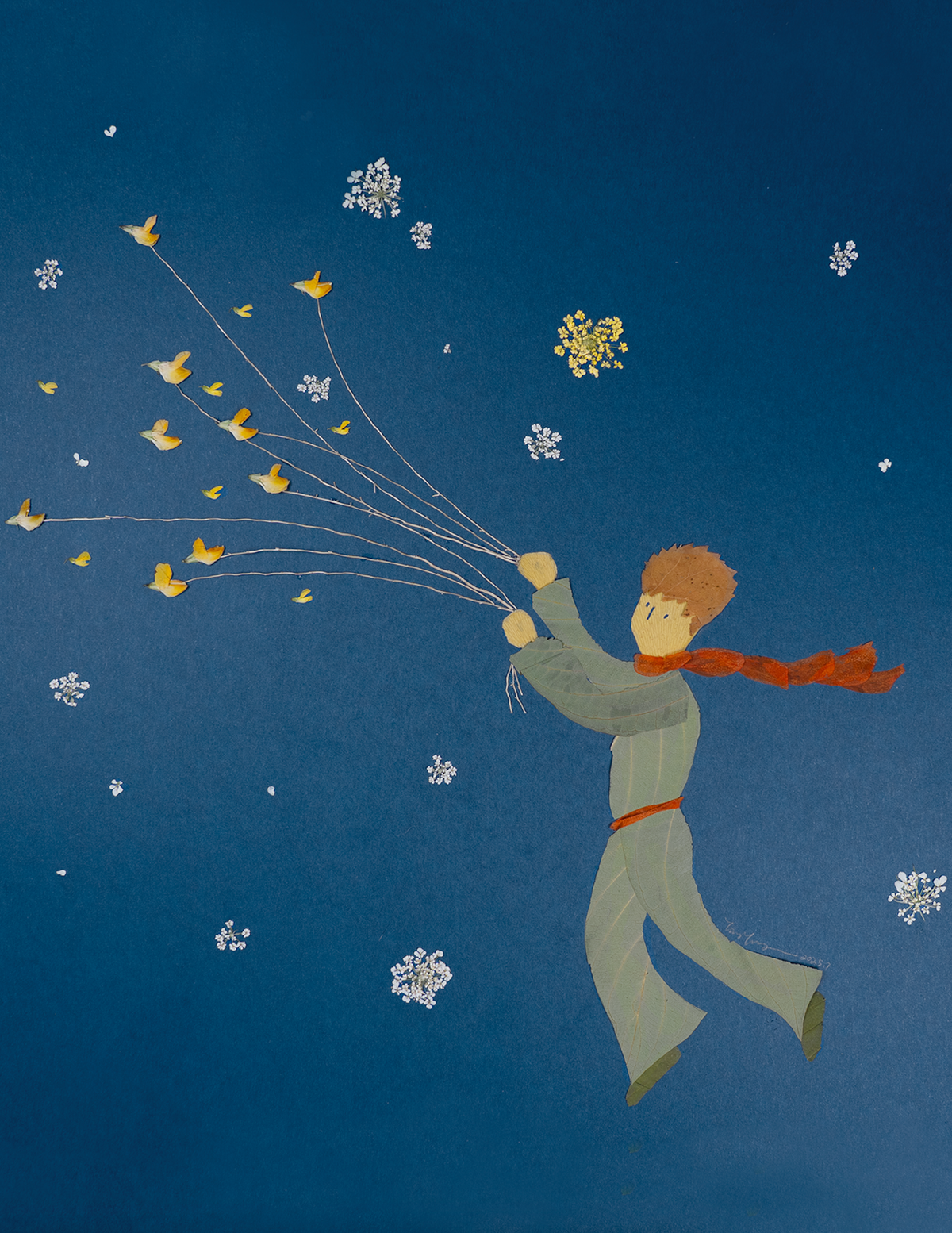 Flight of the Little Prince