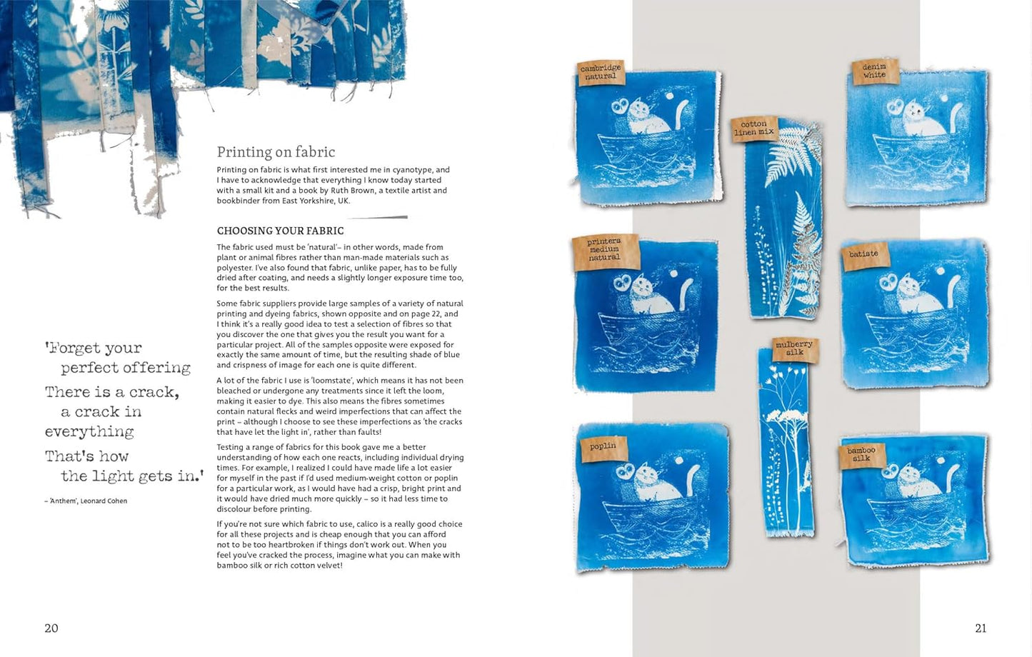 Beginner's Guide to Cyanotype