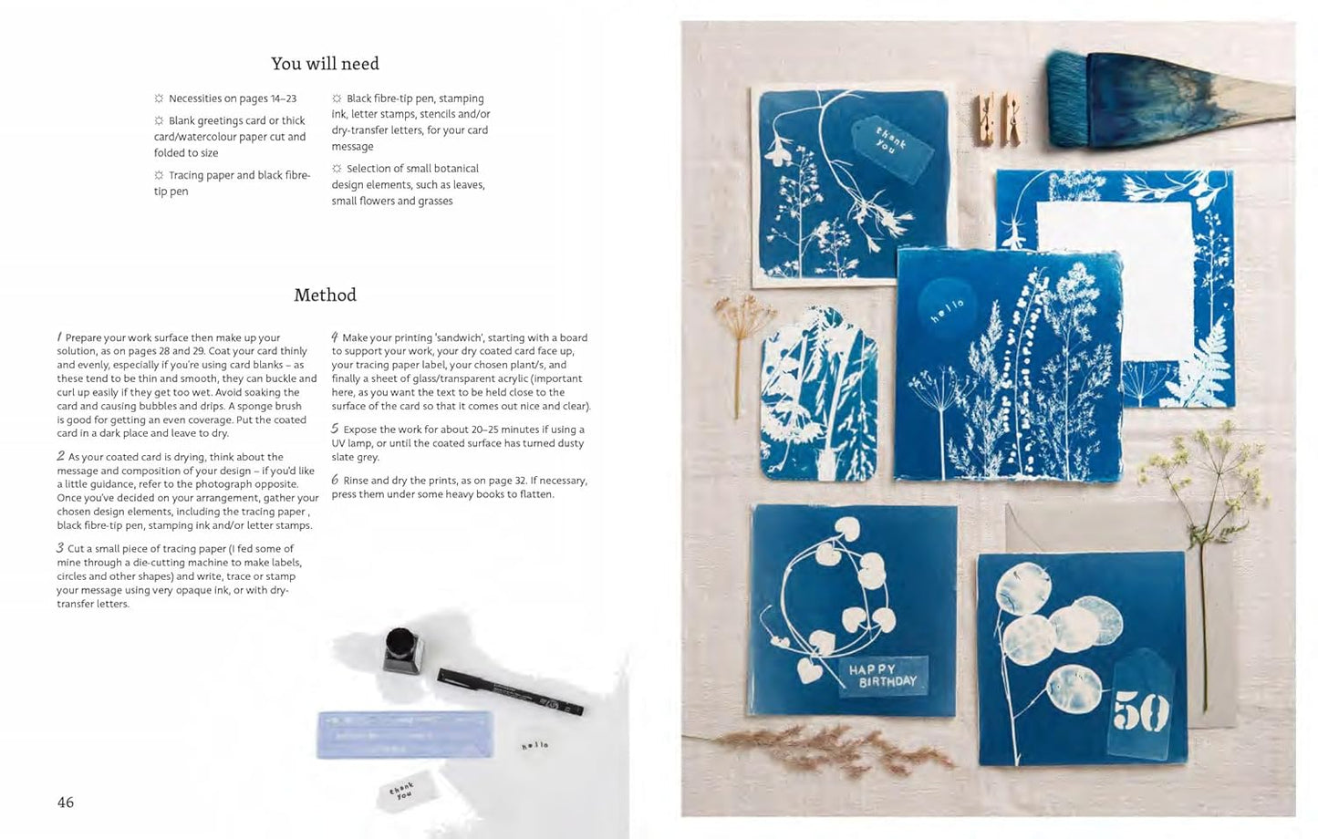 Beginner's Guide to Cyanotype