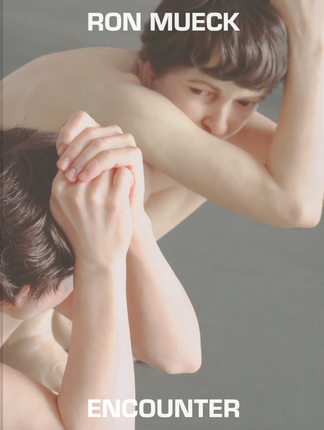 Ron Mueck: Encounter (Figurative Sculpture)