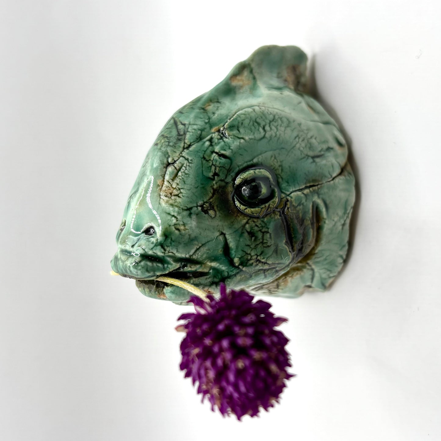Wall Hanging Fish Head