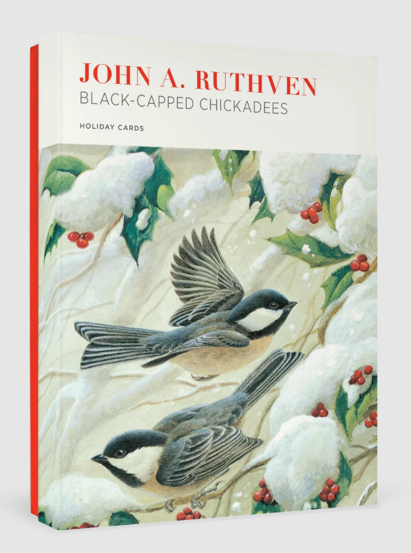 John Ruthven: Black Capped Chickadees Holiday Cards
