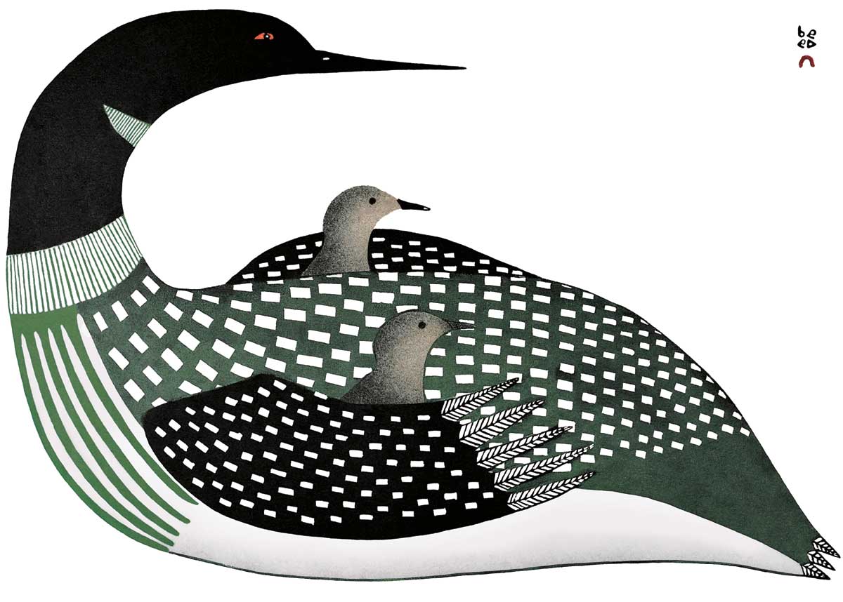 Cradled Loons Framed