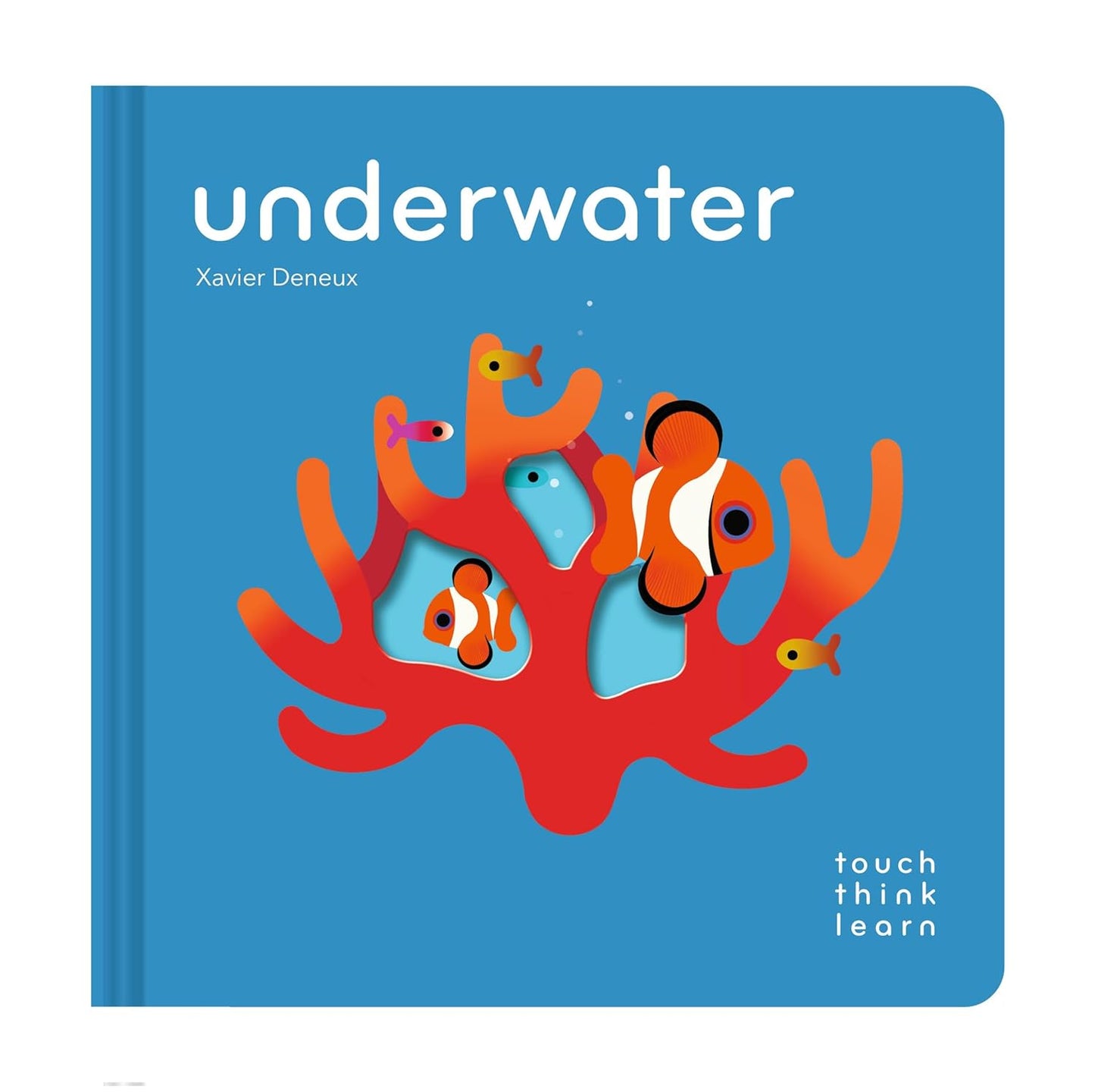 Touch Think Learn Underwater