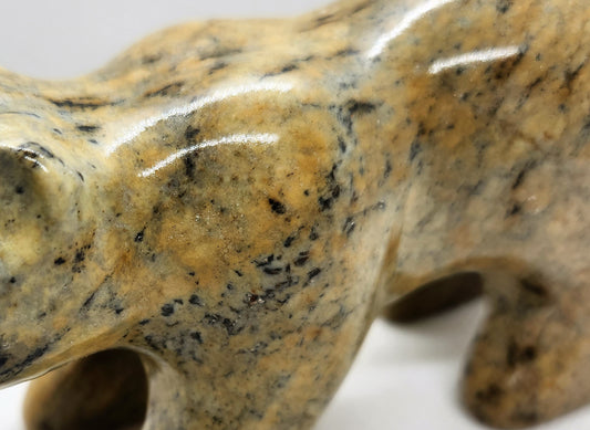 Medium Bear by Teyo Hill