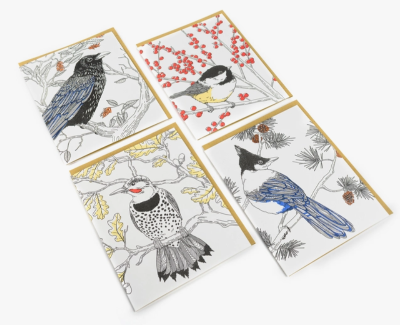 Nature Bird Series Boxed Cards