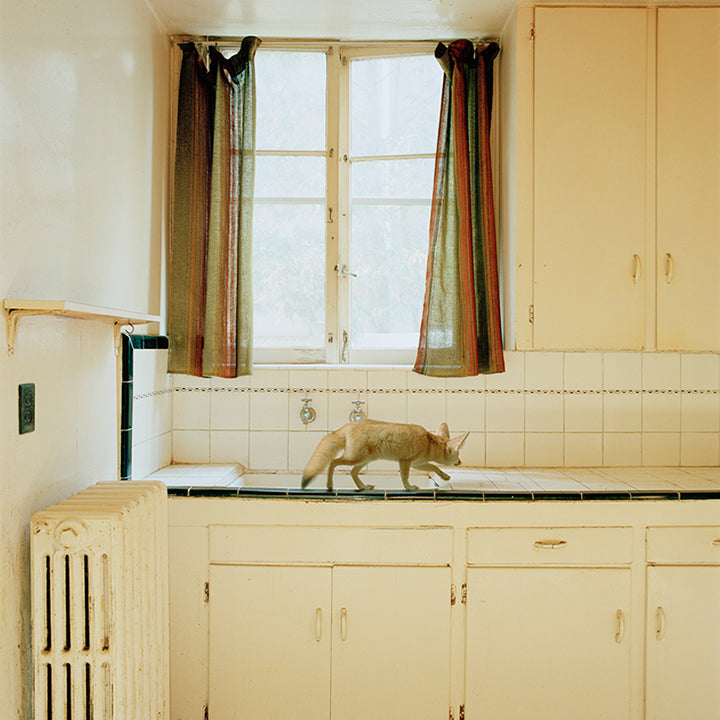 Maureen O'Connor - Threshold