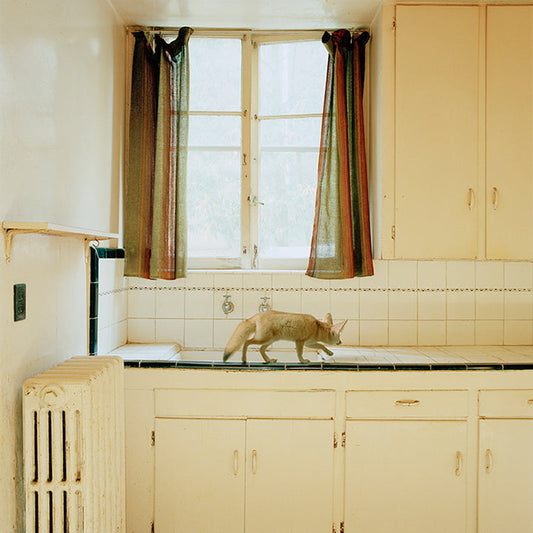 Maureen O'Connor - Threshold