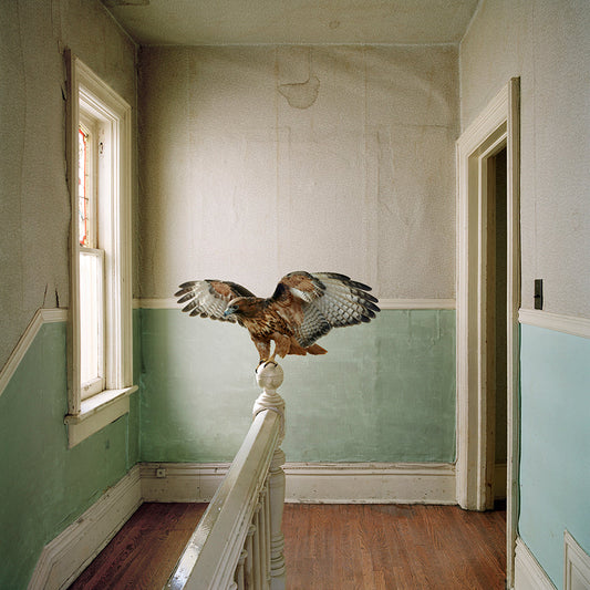 Maureen O'Connor - Reverence