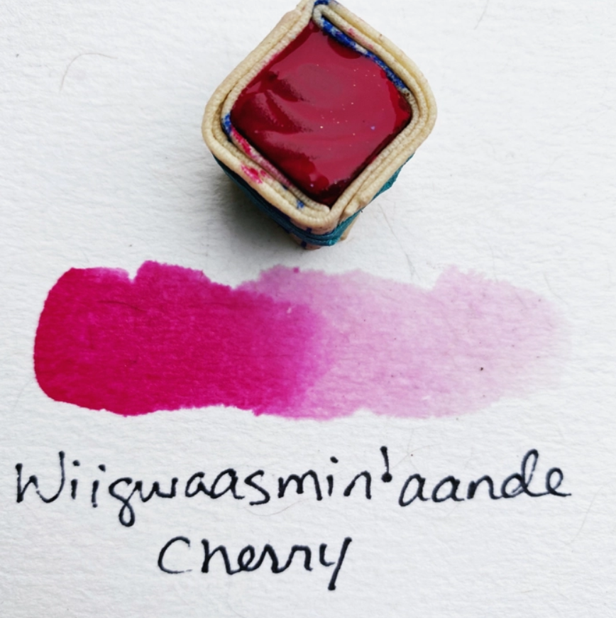 Beam Paints Individual Paintstones