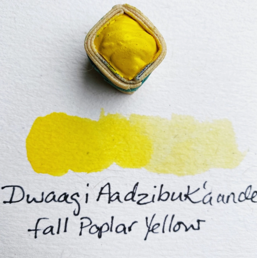 Beam Paints Individual Paintstones