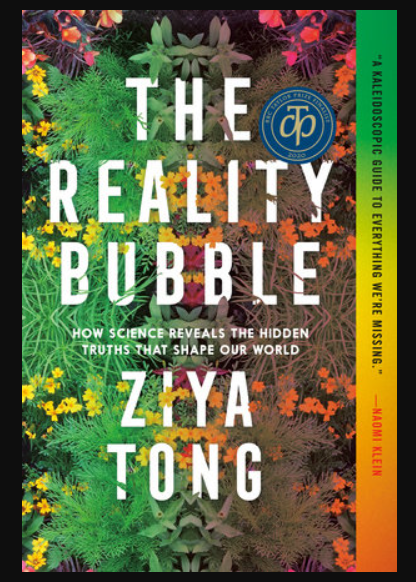 The Reality Bubble