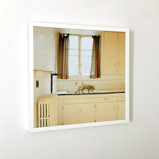 Maureen O'Connor - Threshold