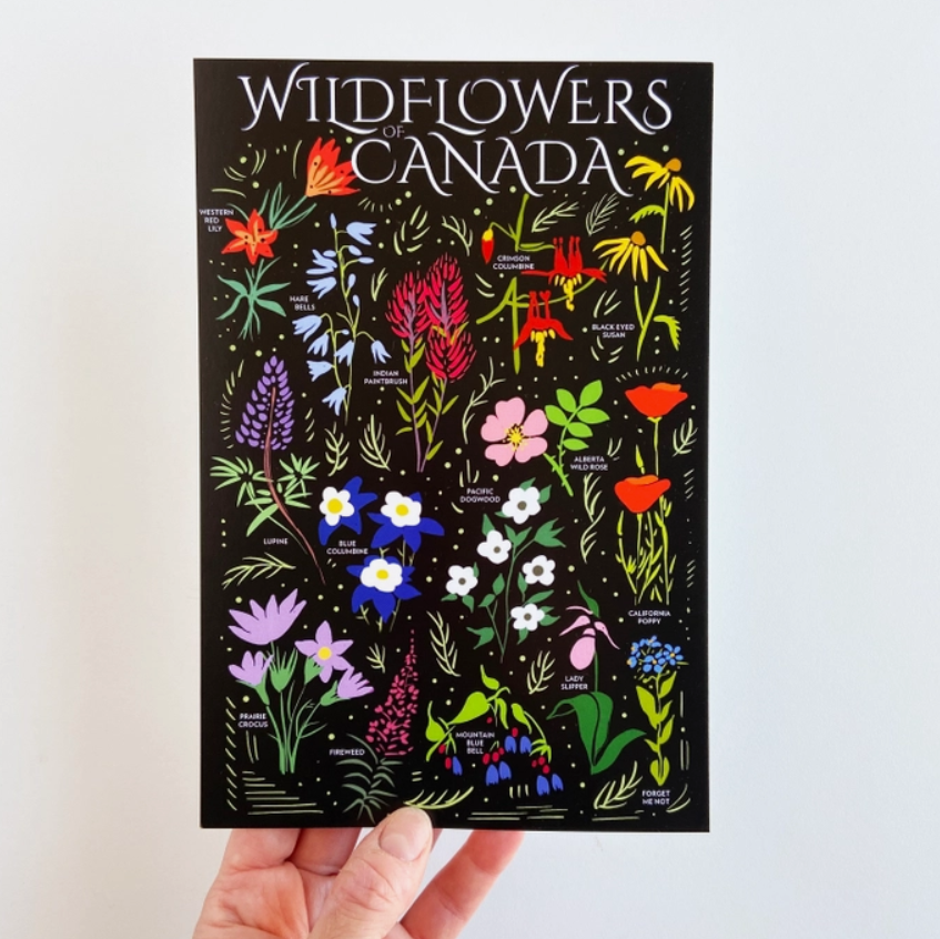 Wildflowers of Canada Postcard