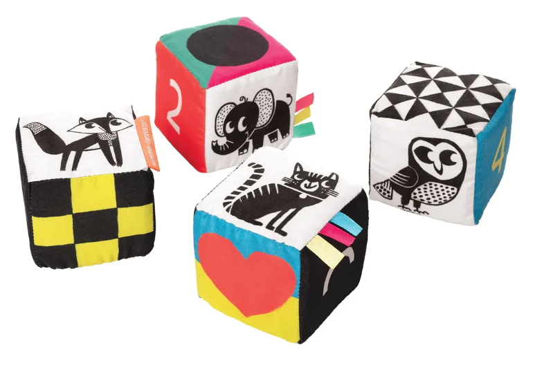 Wimmer Ferguson Mind Cubes
