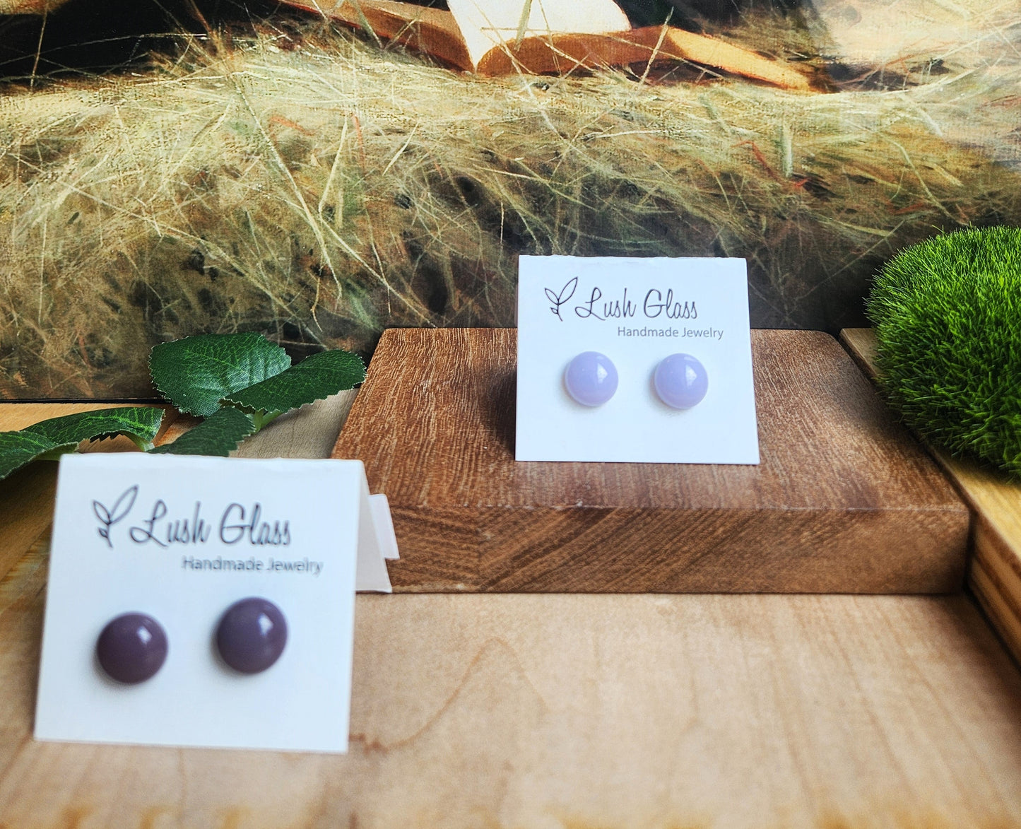 Glass Stud Earrings