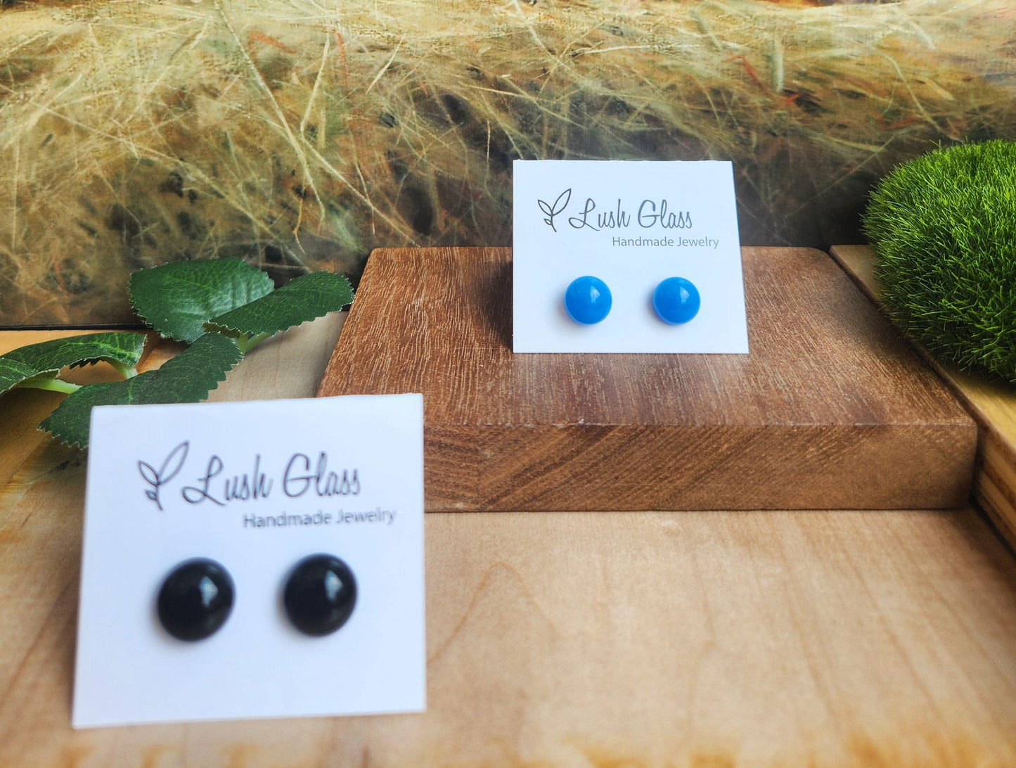 Glass Stud Earrings