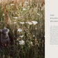 Beyond the Meadows