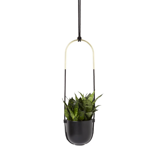 Blk Bolo Planter