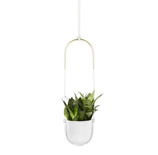 Wht Bolo Planter