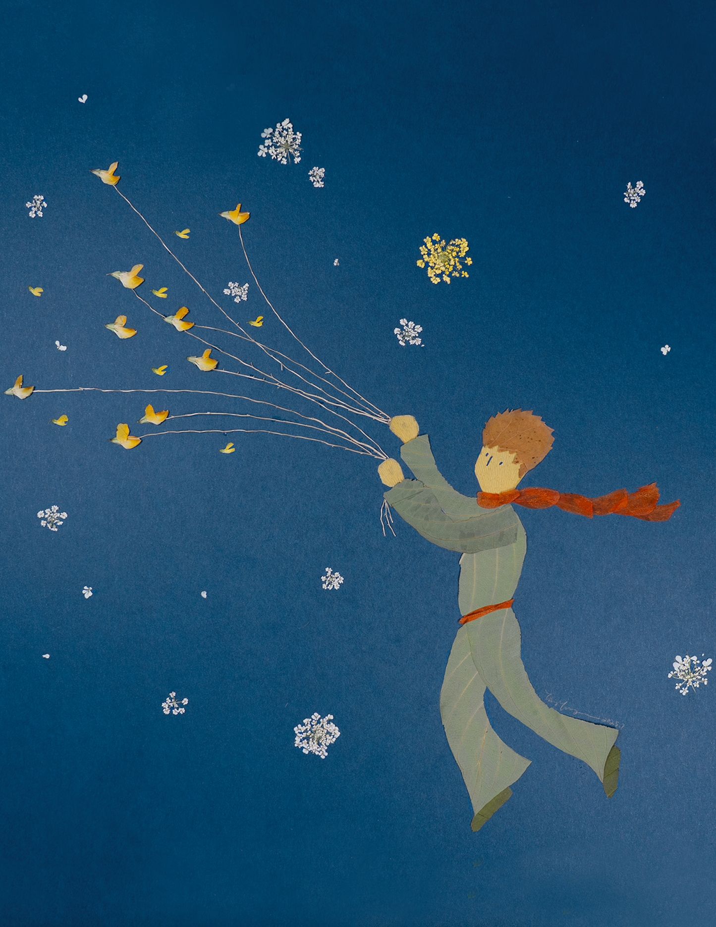 Flight of the Little Prince