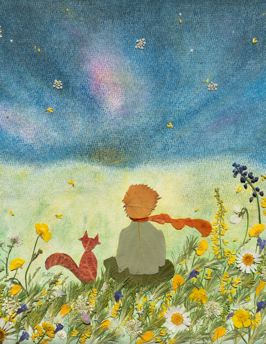 A Night Conversation in the Field