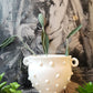 Dotted Vase w/Handles