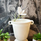 White Vase w/Handles