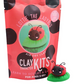 Lottie the Ladybug DIY Polymer Clay Kit
