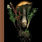 Forest Mushroom Journal