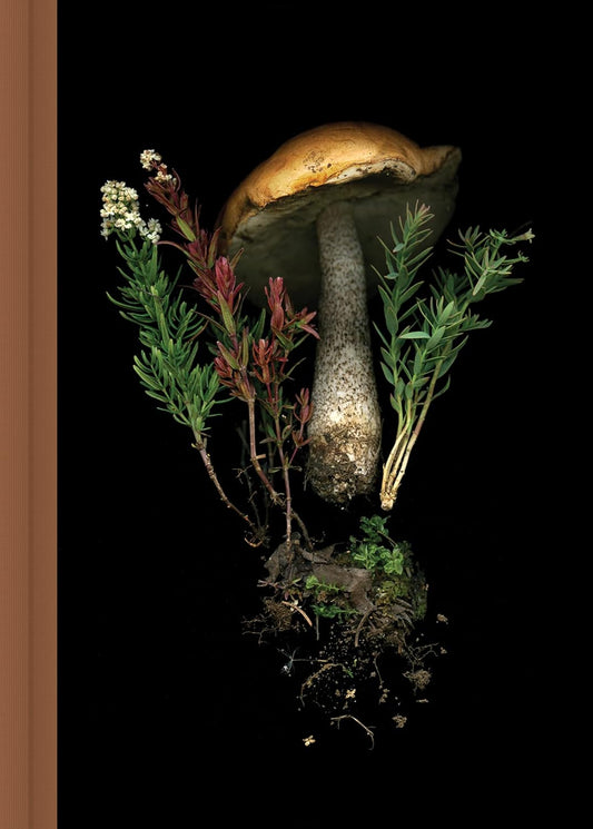 Forest Mushroom Journal