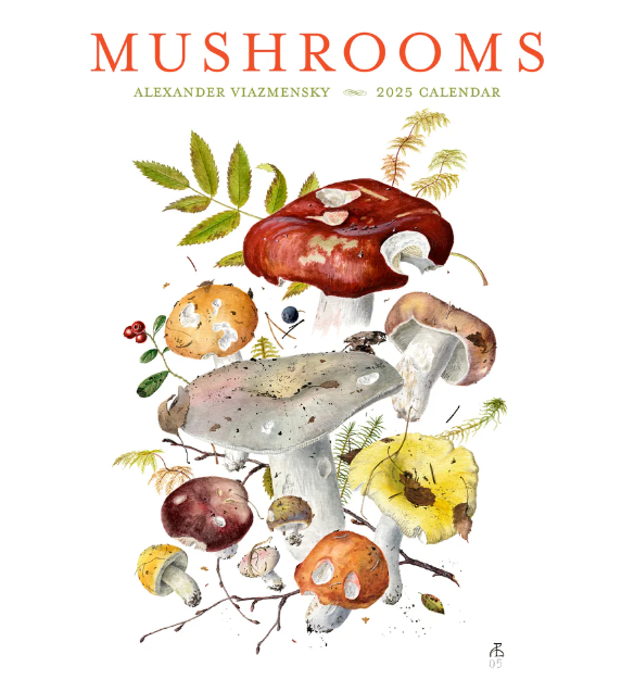 Viazmensky Mushrooms 2025 Wall Calendar