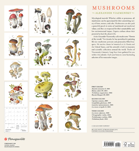 Viazmensky Mushrooms 2025 Wall Calendar