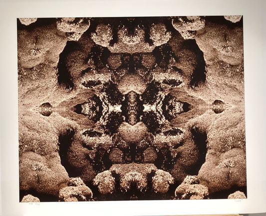 Stephen Livick _ Volcanic Moss 2/40. 9. 1998 (SL9)