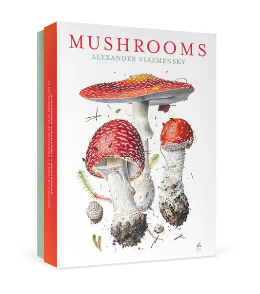 Viazmensky Mushrooms Boxed Notecard Assortment