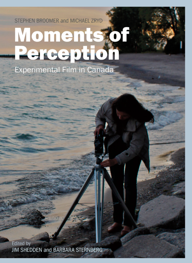Moments of Perception