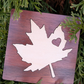 Maple Leaf Inlay Coaters