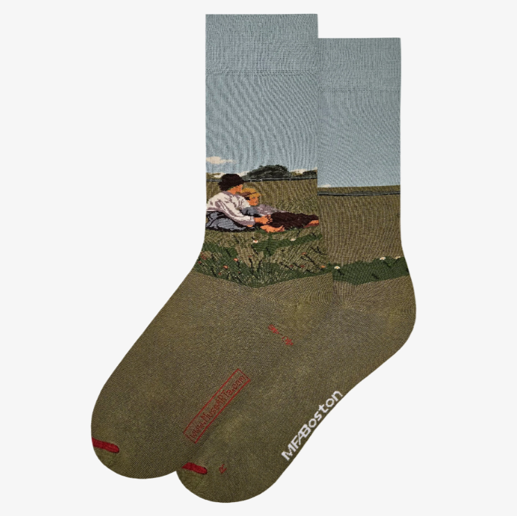 Sm Boys In a Pasture Art Socks