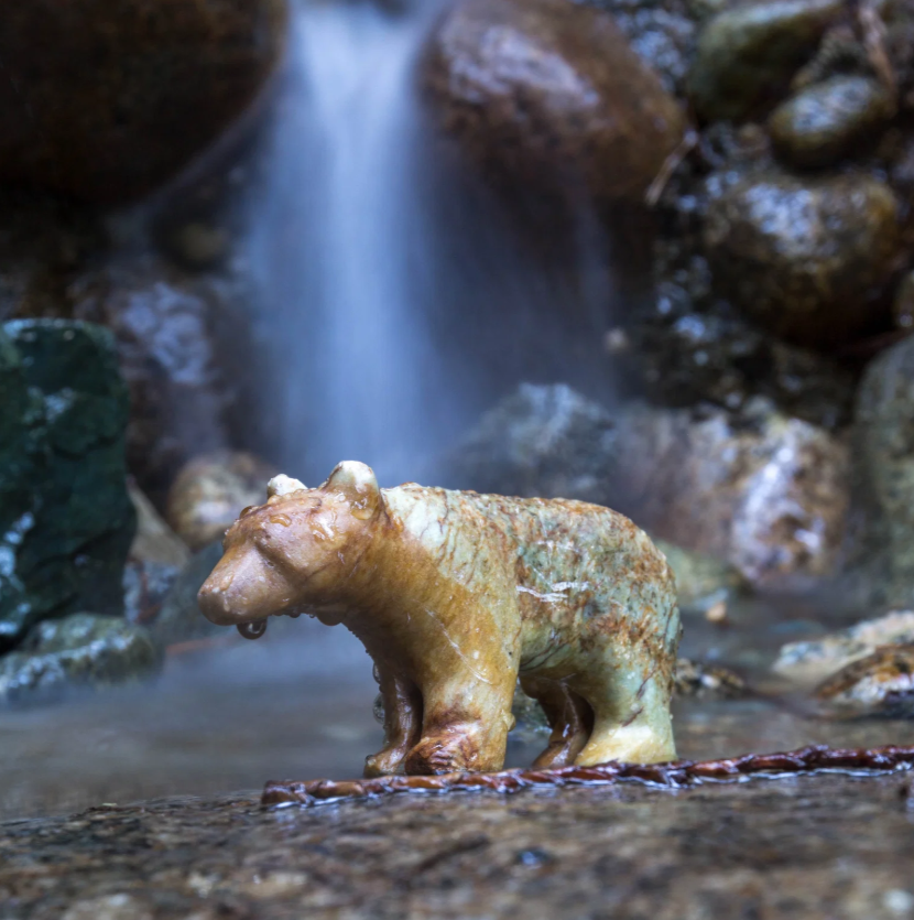 Bear Carving Kit