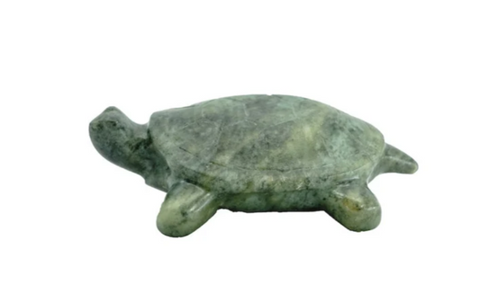 Turtle Carving Kit