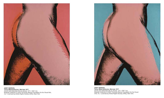 Andy Warhol: Velvet Rage and Beauty