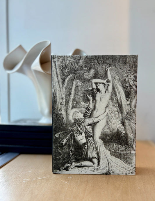 Lg Metamorphoses 6x8 Journal