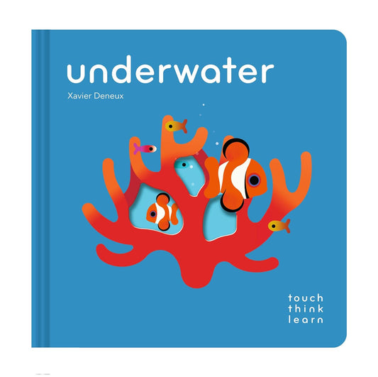 Touch Think Learn Underwater