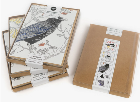 Nature Bird Series Boxed Cards