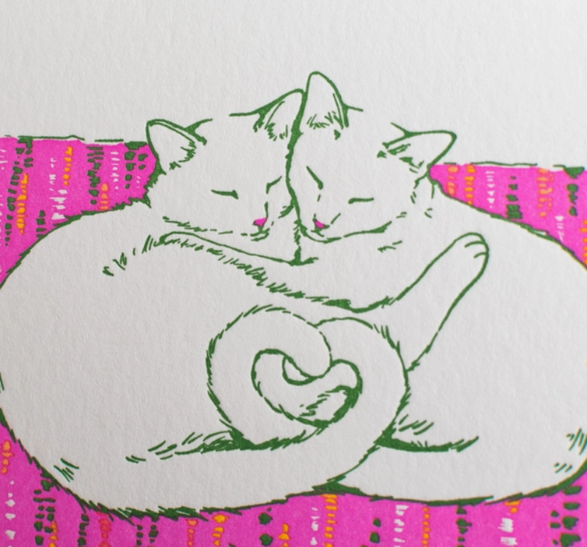 Colour your own Cat Card